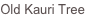 shapeimage_1_link_0