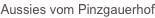 shapeimage_1_link_3